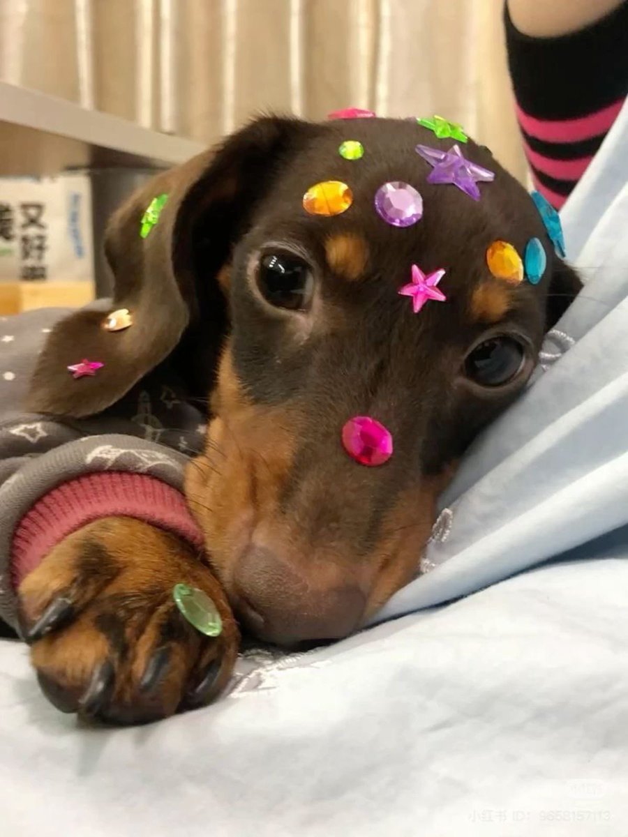 twaniimals's tweet image. 