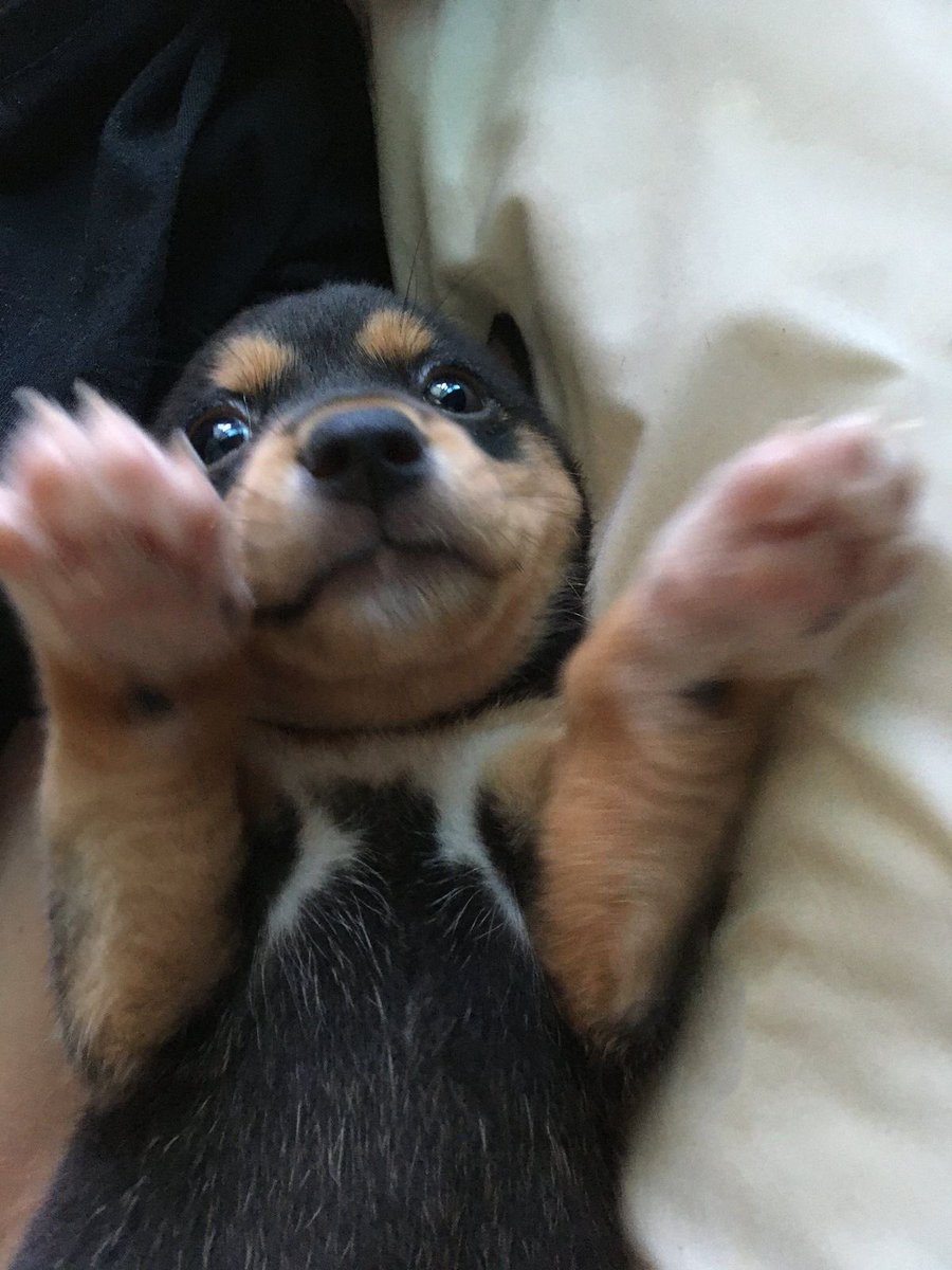 twaniimals's tweet photo. https://t.co/zeG0T3DxAa