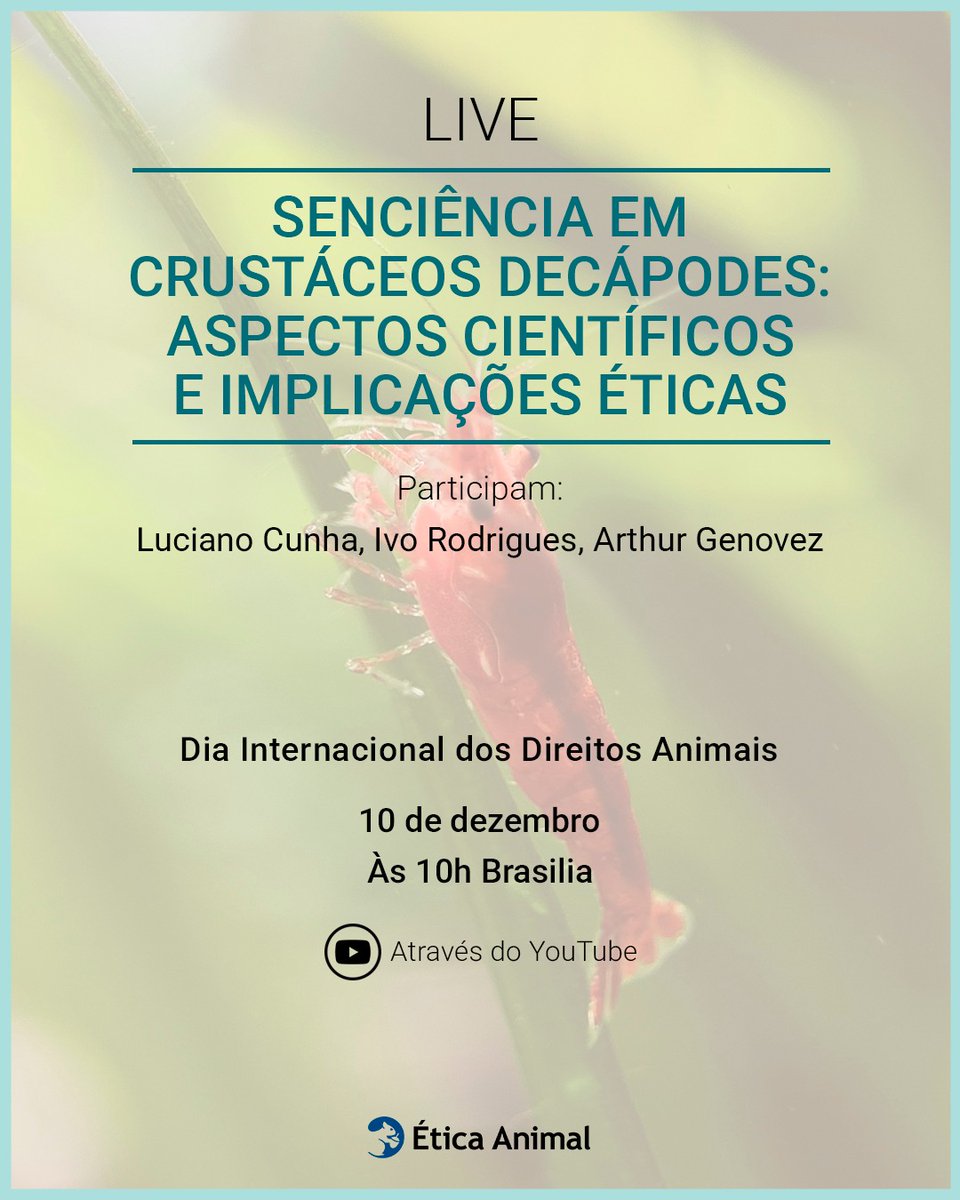 Live – Dia Internacional dos Direitos Animais

Lançamento do livro: Senciência em crustáceos decápodes: aspectos científicos e implicações éticas

10 de dezembro — 10 h (Brasil, BRT)

YouTube: youtube.com/watch?v=ySO-i-…

Participam: Luciano Cunha, Ivo Rodrigues, Arthur Genovez