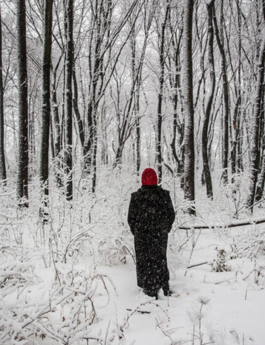 L'Inverno e Dicembre non solo stagioni,
ma anche stati d'animo:
un'attesa senza certezze..
che riflette la crisi dell'uomo moderno.

"La pioggia stanca la terra, di poi; s’affolta
il tedio dell’inverno sulle case,
la luce si fa avara
–amara l’anima"

Montale✍️

#DicembreDAmare❄️