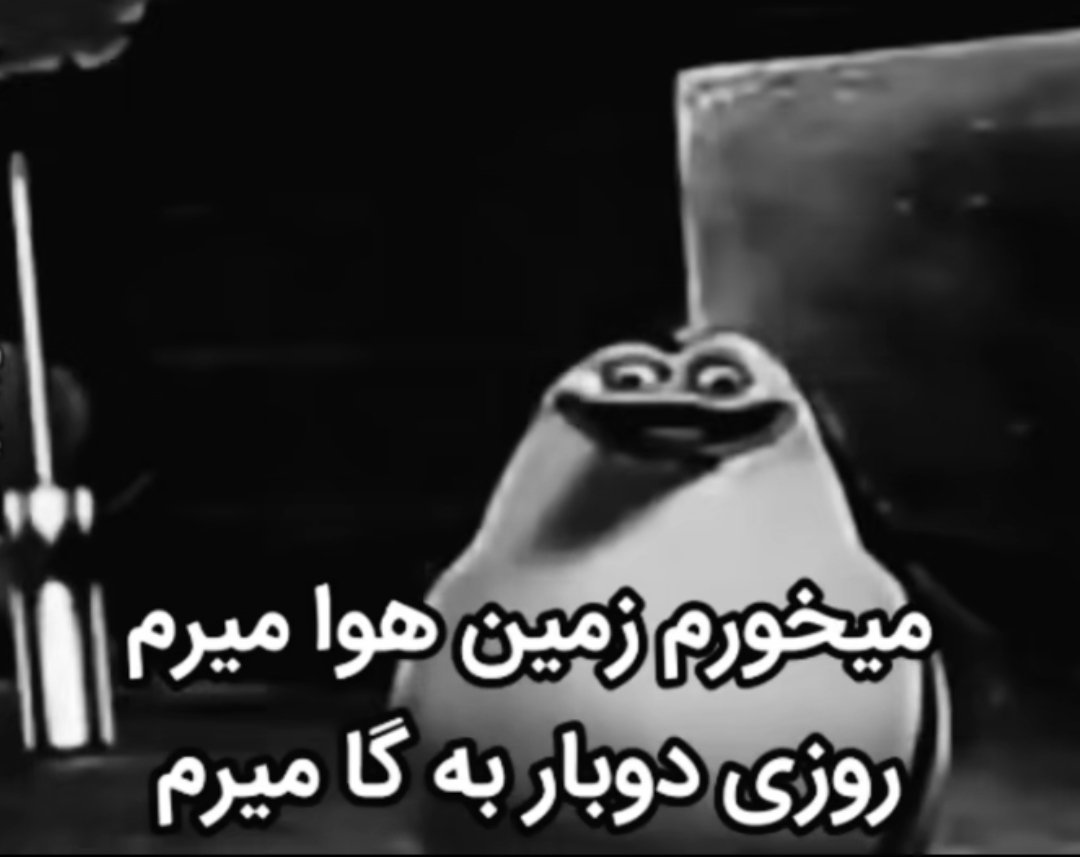 شرودینگر (@parsa_saena1) on Twitter photo 