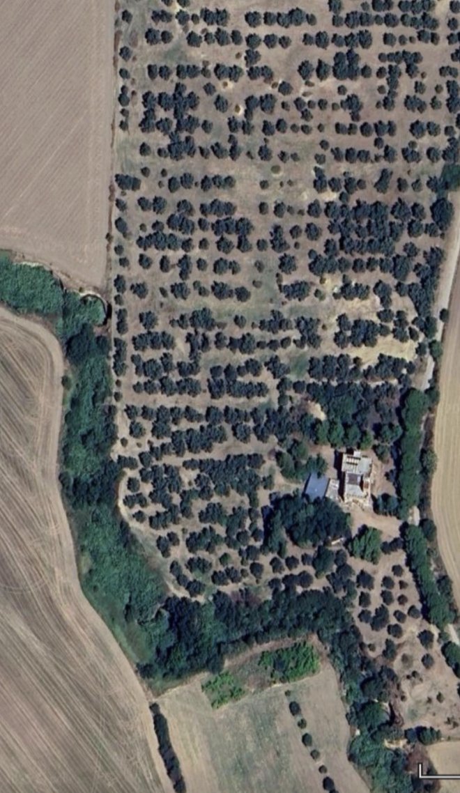 TimurNegru's tweet image. Client: &quot;I want a nice holiday home in Southern Italy that&apos;s big enough for the whole family.&quot;

Me: Here is a fortified castle with real battlements, 5 hectares of olive groves, and... a dungeon.

Asking price: €350k ($400k).

(Look at the rest of this place) 👇