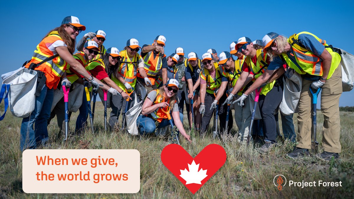 Today, generosity takes root. 🌲

This #GivingTuesday, we’re celebrating the partners, investors, and community leaders who are turning radical generosity into living legacies. 

Join the movement.💚

#ProjectForest #CommunityImpact #Reconciliation #Sustainability #GivingTuesday