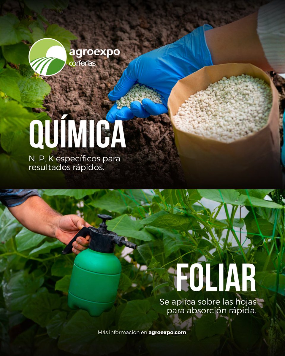 Agroexpo Colombia tweet media