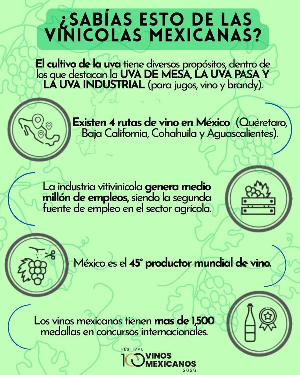 ¿Amante del vino? 🍷
¡Esto es lo que NO te contaron de las vinícolas mexicanas! 🤩 
¡Celebremos el sabor de México! 🇲🇽
