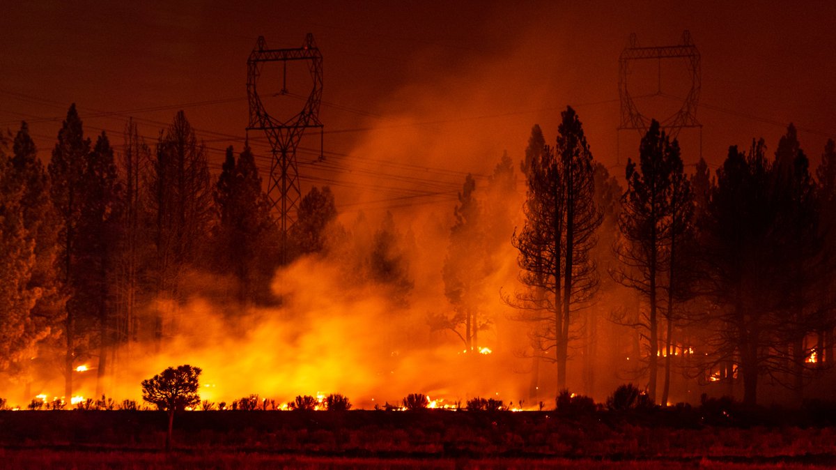 Energy Policy Institute tweet media