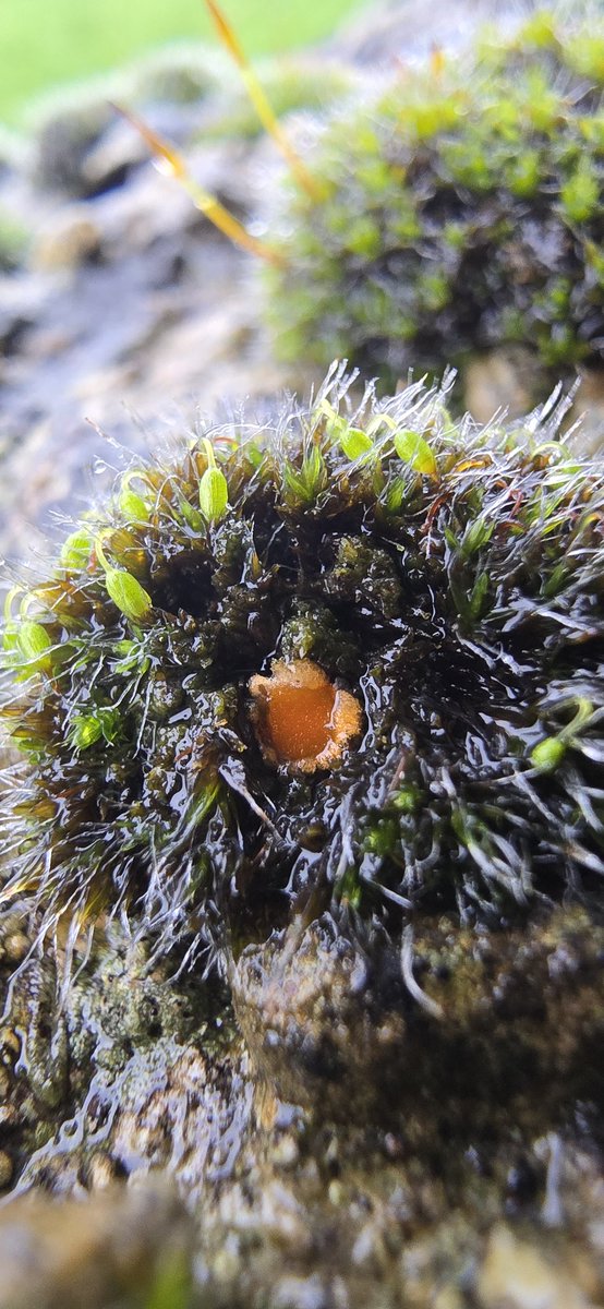 Jamie warren tweet media