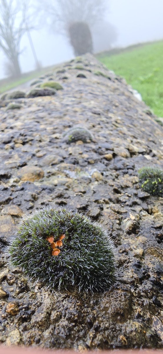 Jamie warren tweet media