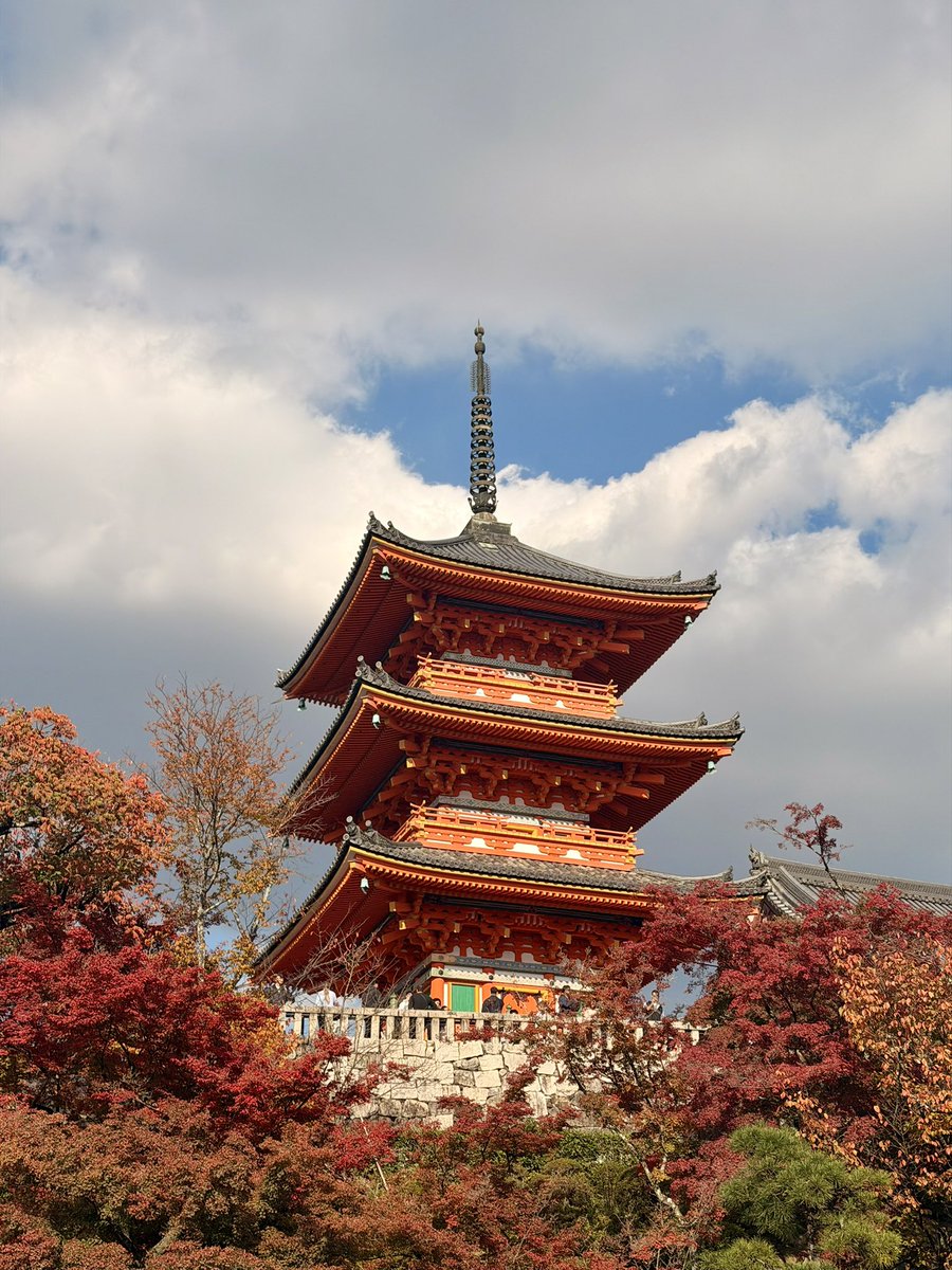 valcbrera's tweet photo. El momiji de Japón es lo más hermoso que han visto mis ojos 🧡🍁🍂 https://t.co/hcd2ZGA6V7
