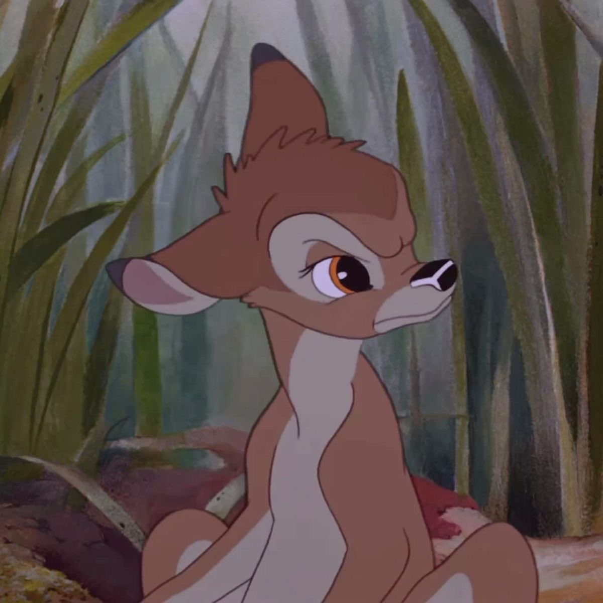 grumpy bambi