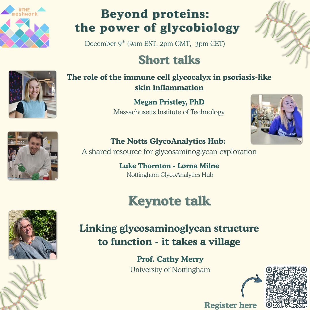 THEmeshwork tweet media