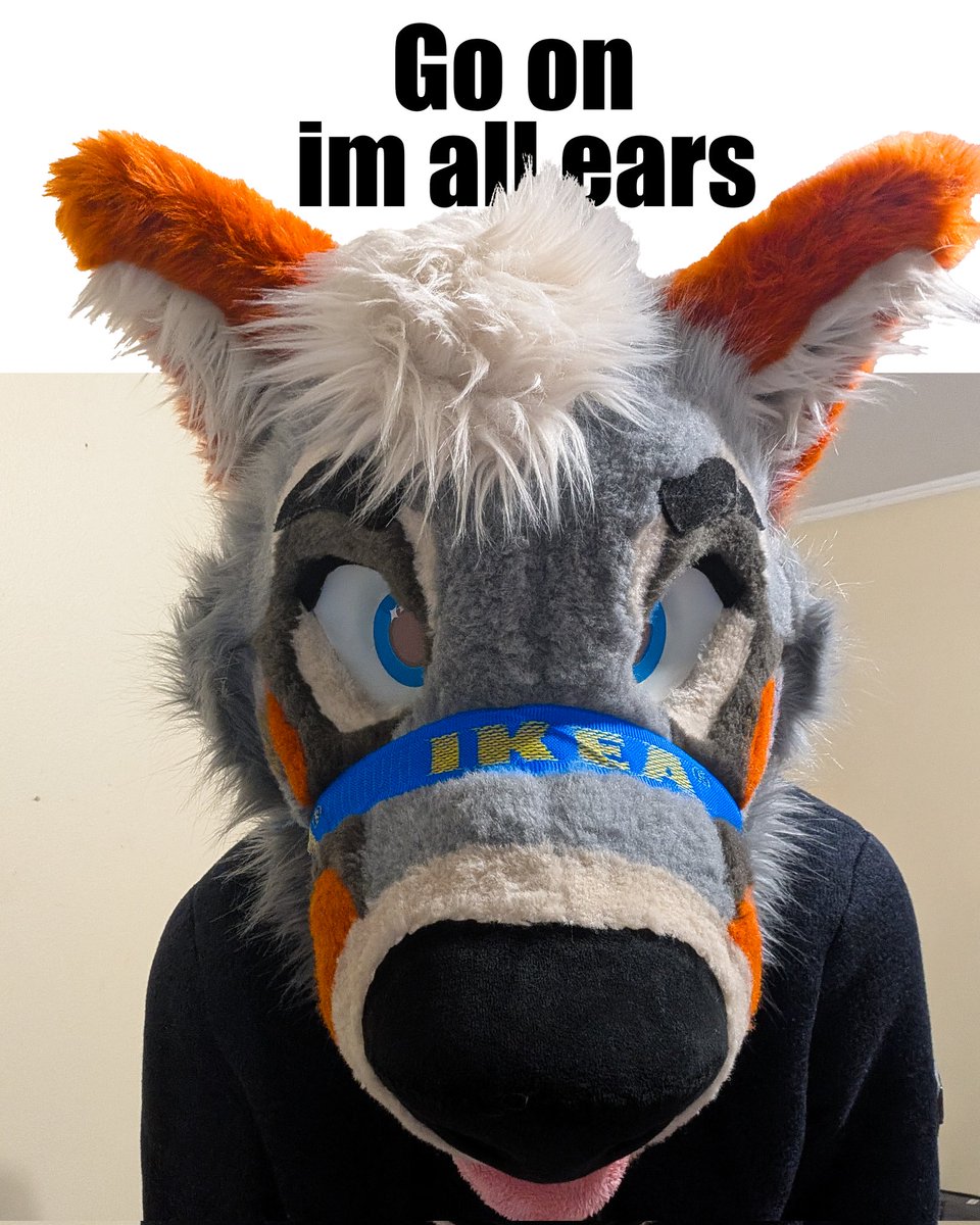 PartDoggo's tweet image. 👂