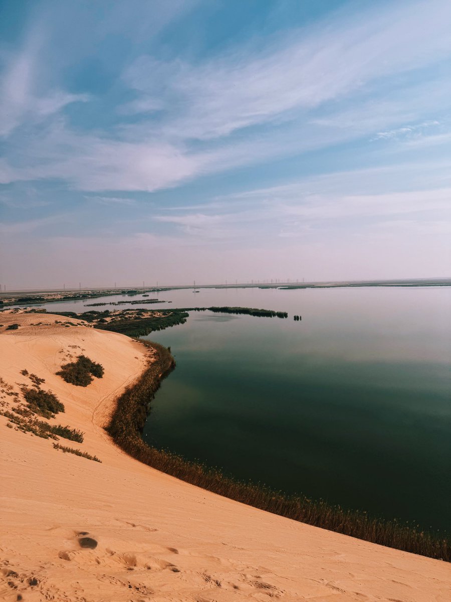 لي أربعة أشهر في السعودية وما زالت تبهرني كل يوم. اليوم زرنا الأحساء وسحرتني تمامًا: فطور حساوي، جولة في سوق القيصيرية، كهوف جبل القارة، وختام عند بحيرة الأصفر الساحرة. أكيد أرجع لها يومًا بإذن الله