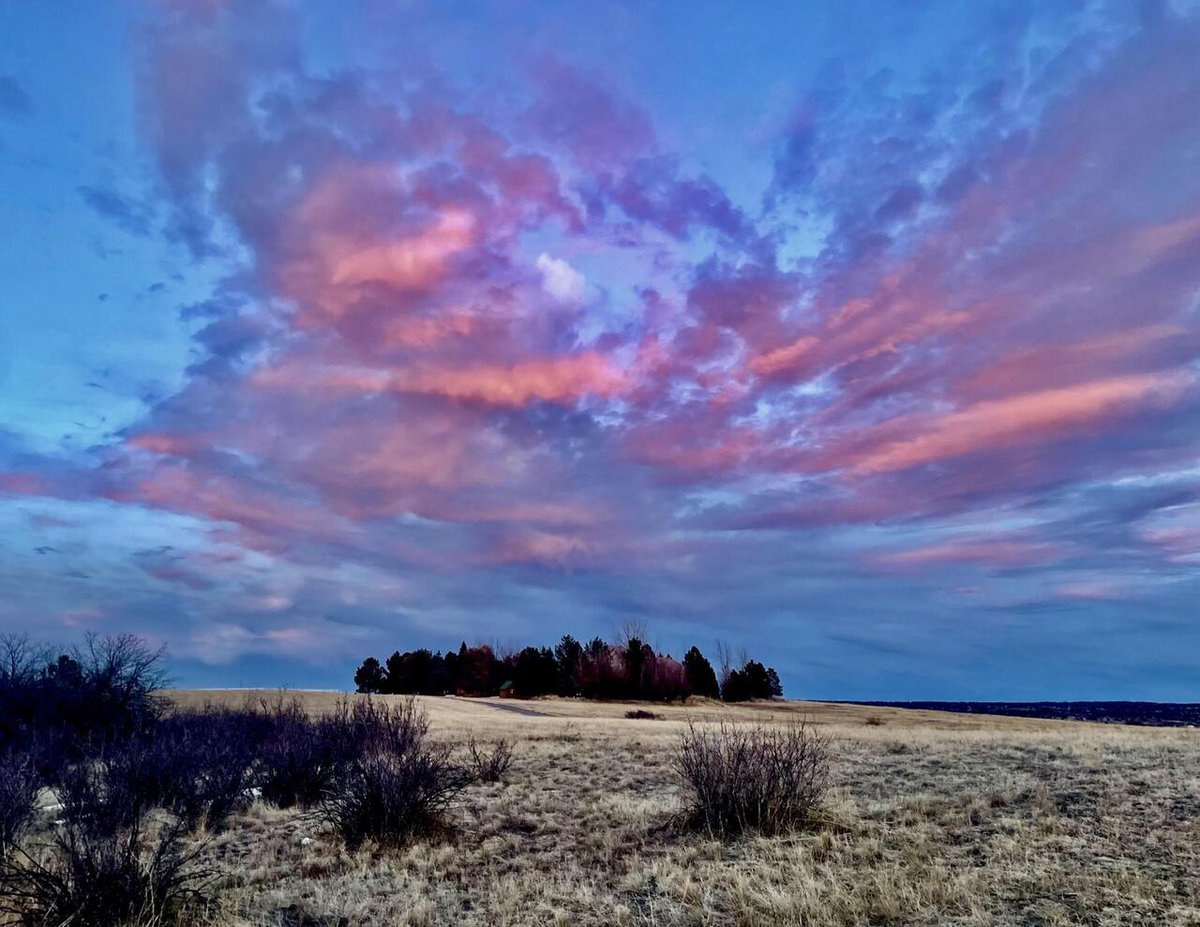 DocAtCDI's tweet image. Enjoy #OurEarthPorn!
(Steal This Hashtag for your own &amp;amp; join the community of Nature Addicts! )

Pink dawn over an open field in Colorado. No filter needed. [OC] (4032x3024) 
Photo Credit: Foreign_Lake2409 
.