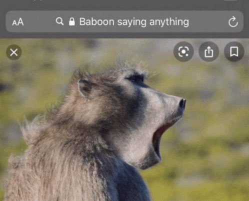 poison 🐰🍉 tweet media