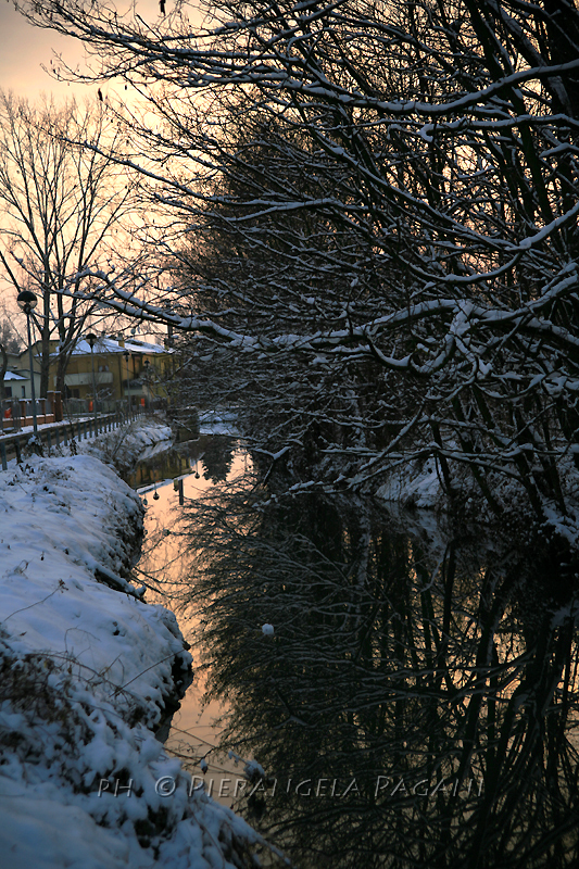 @ferrarisergio4 tweet media