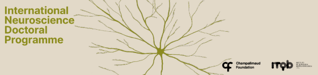 Gonzalo de Polavieja tweet media