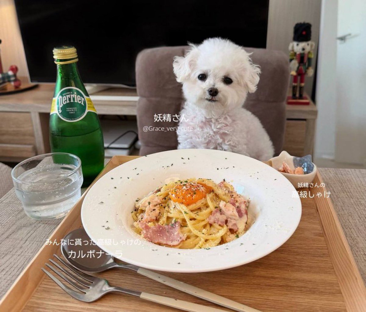 ZareehanTyc's tweet image. $GRACE is shaping up to be the next $Kori-tier runner.
2B views on X and climbing fast the narrative is locked in.

Check it out:
x.com/Grace_very_cute

DdGNpQqUiVMu6EnE8HeEfDDSiLQZQratbtxtGAFfpump