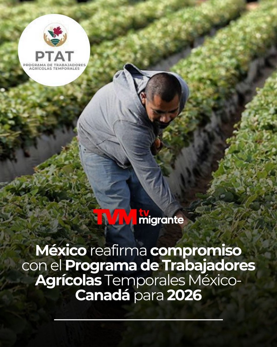 #TvMigranteInforma 

El <a href="/GobiernoMX/">Gobierno de México</a>, a través de la <a href="/SRE_mx/">Relaciones Exteriores</a> y la <a href="/STPS_mx/">STPS México</a>, reafirmó su compromiso para colaborar en el mejoramiento del Programa de Trabajadores Agrícolas Temporales México-Canadá (PTAT), que con más de cinco décadas se convirtió en modelo internacional de