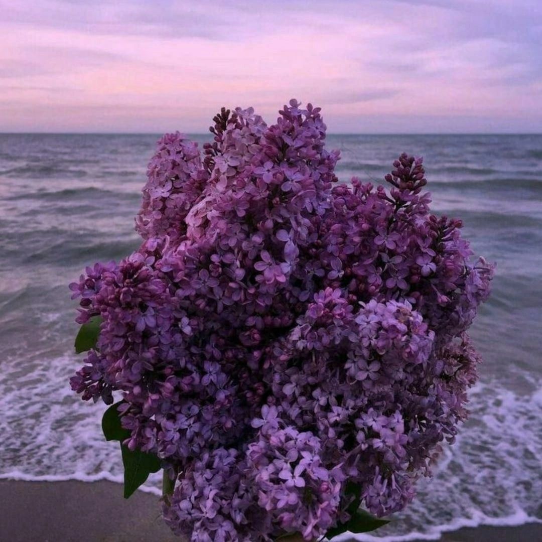 BejewelryB's tweet image. guess the bridge