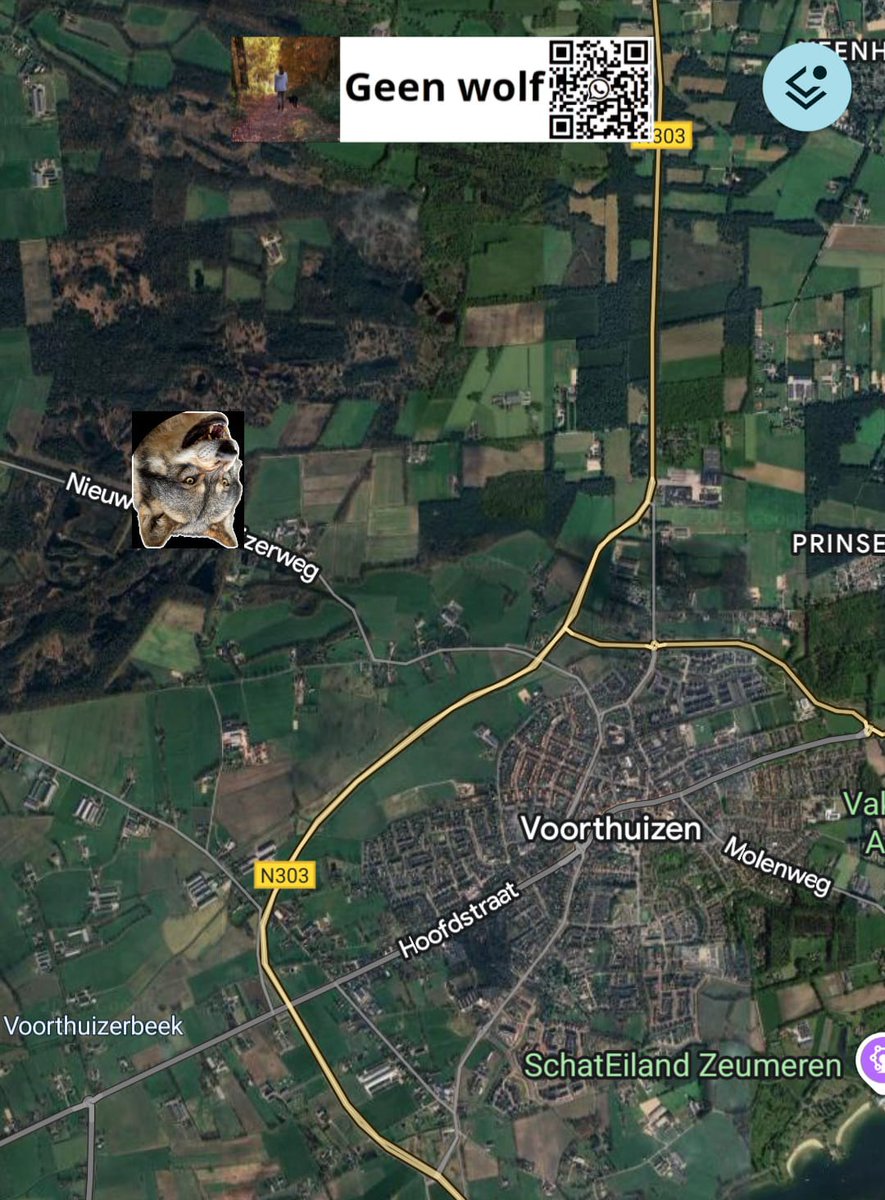 Aanrijding wolf in Nijkerk