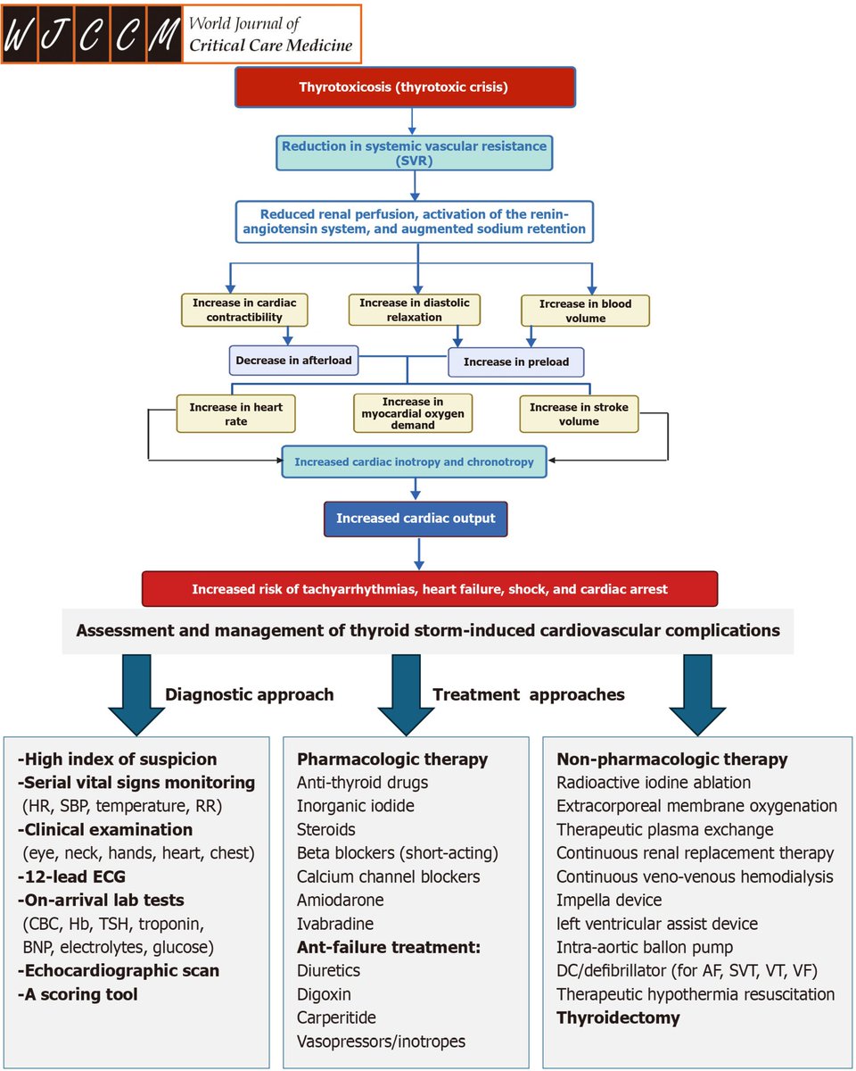 CardioBeat_'s tweet photo. Thyroid storm (TS) causes systemic injury via thyroid hormone pleiotropy, with the cardiovascular system being highly susceptible. https://t.co/EYjXPEQrlb
#ThyroidStorm #TS #Cardiovascular #CriticalCare #Endocrinology #Hyperthyroidism #Thyrotoxicosis #HeartFailure #Tachycardia https://t.co/4oqd9cSrtg