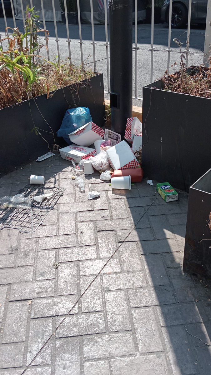 La nueva y maravillosa taquería  de la <a href="/DUALIPA/">DUA LIPA</a> DUA LIPA así deja nuestra colonia.