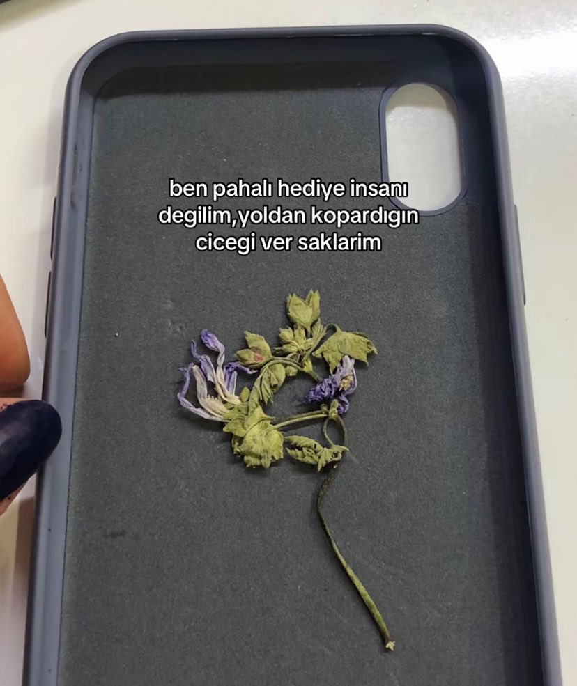 Sezen Aksu (@bensezenn) on Twitter photo 