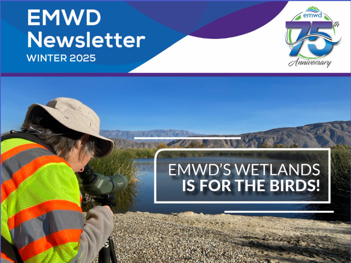 Our Winter Newsletter is out now! 

Check out our last edition of the year ➡️ conta.cc/44BzJ25