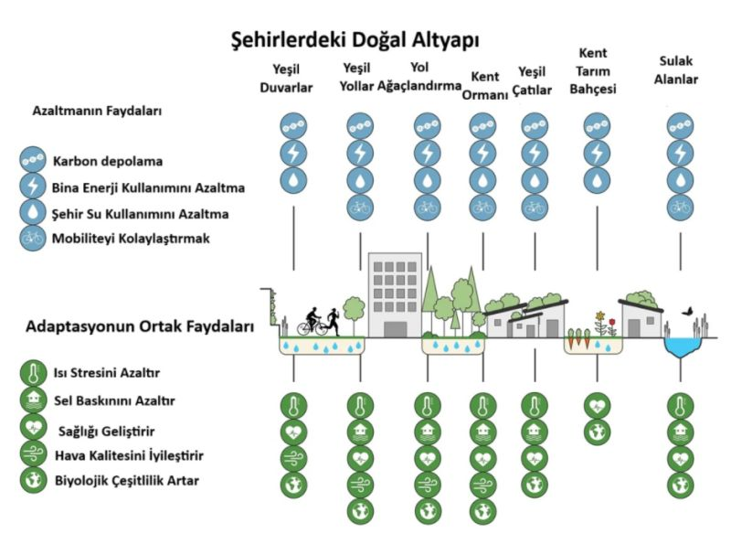 Şehirlerdeki Altyapı DOĞAL olursa NE OLUR, OLMAZSA !!!???

Kaynak : KENTSEL TAŞKINLAR: Nedenler, Etkiler ve Azaltma Stratejileri

garrisonflood.com/blog/urban-flo…