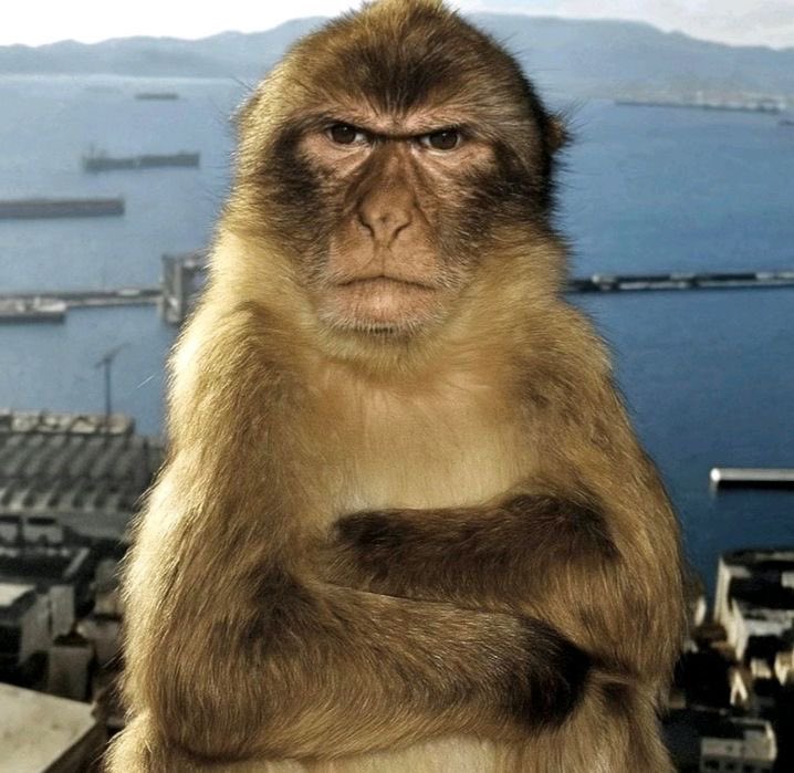 tum para kart borcuna gidiyor