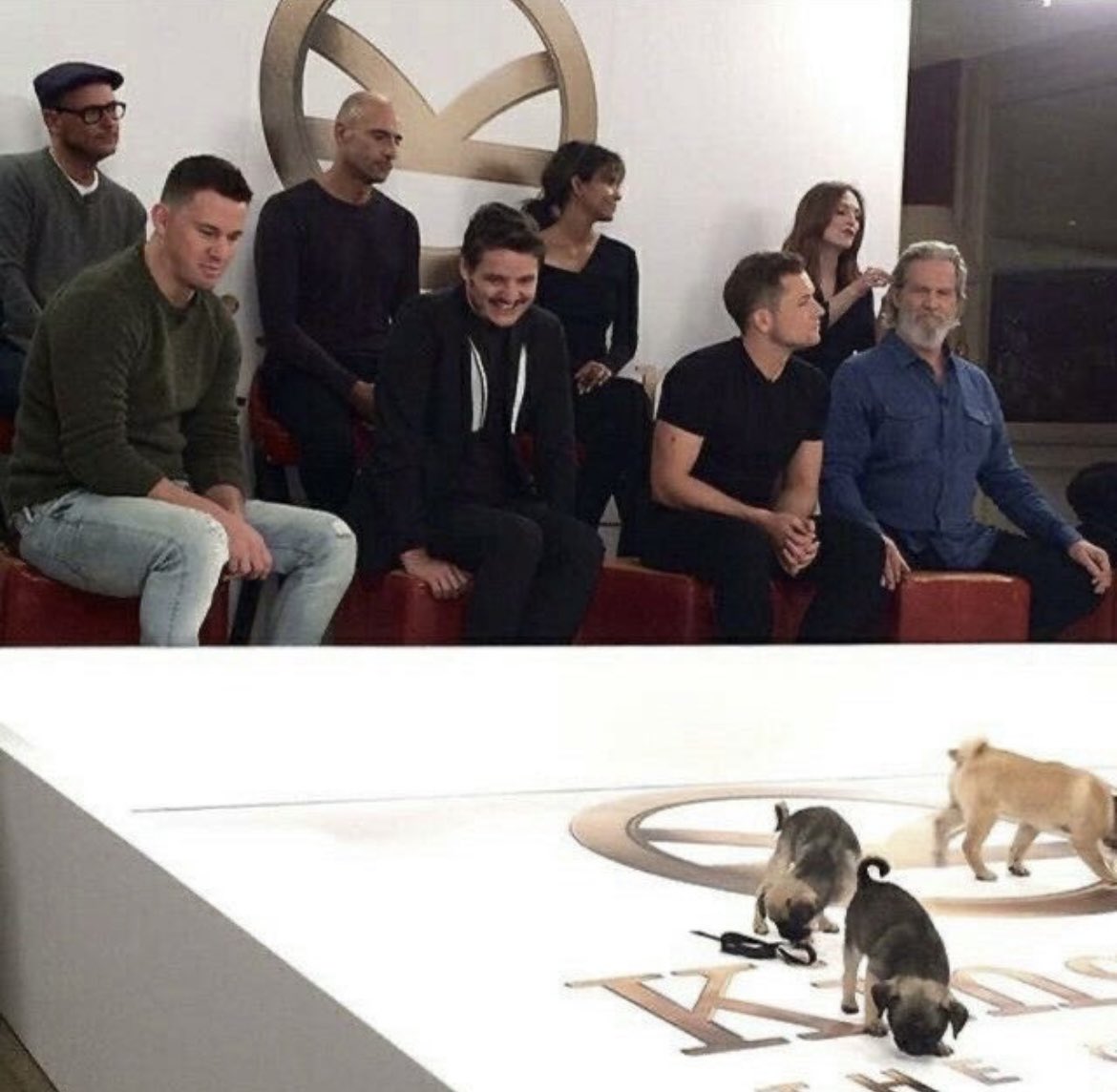 pascalblues's tweet image. the little smile before he pets the puppies ☹️