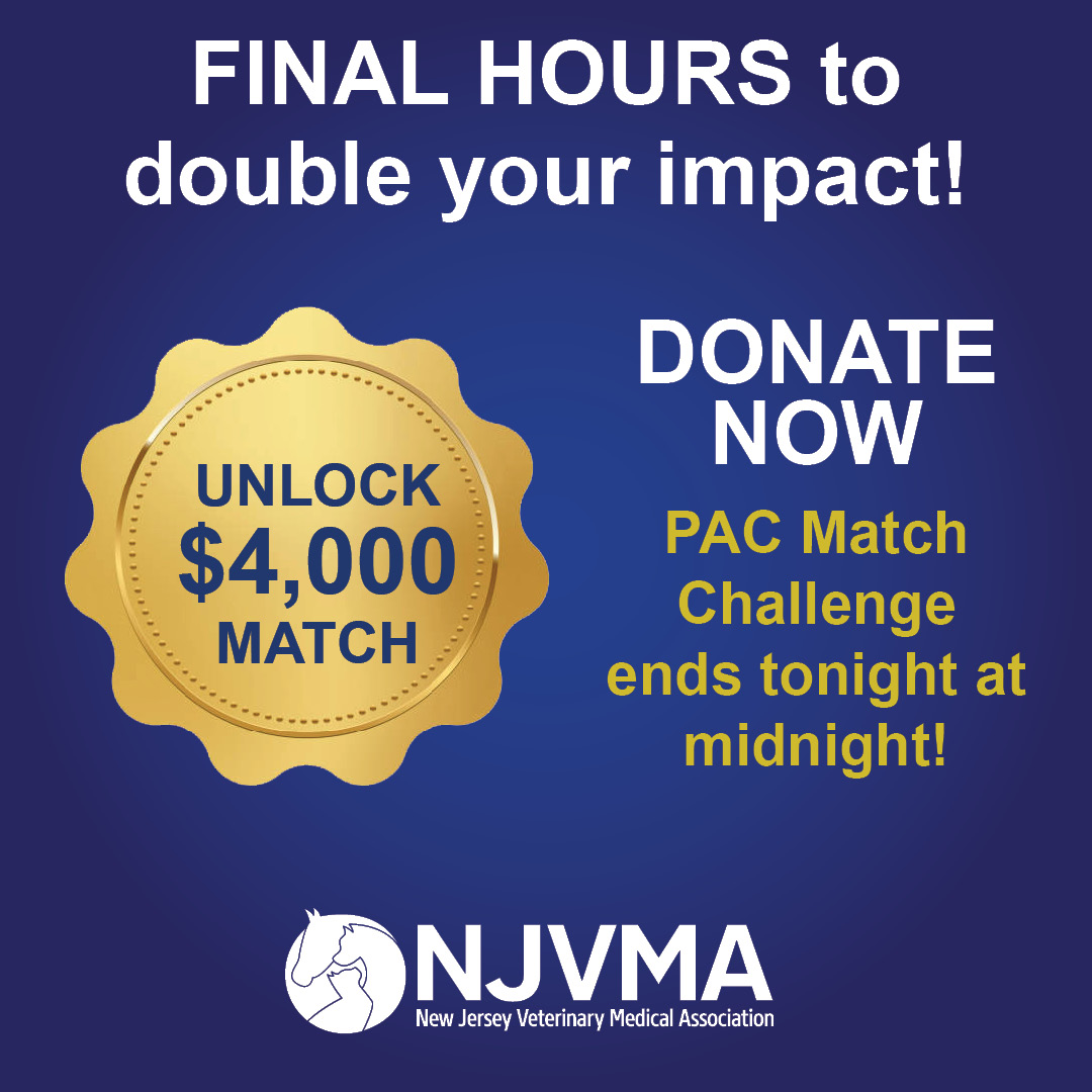 NJVMA's tweet photo. ⏰ Final hours to double your impact!
The $4,000 PAC Match Challenge ends at midnight. Every dollar supports NJVMA’s advocacy in Trenton and protects animals across NJ — and today your gift is matched 1:1.
Donate: https://t.co/9PFHsaxke4
#GivingTuesday #NJVMA https://t.co/KnQT45DsTb