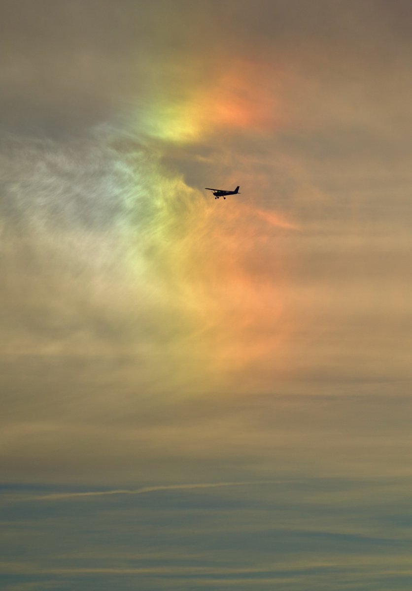 scrutacieli's tweet image. Breaking the colourwall.