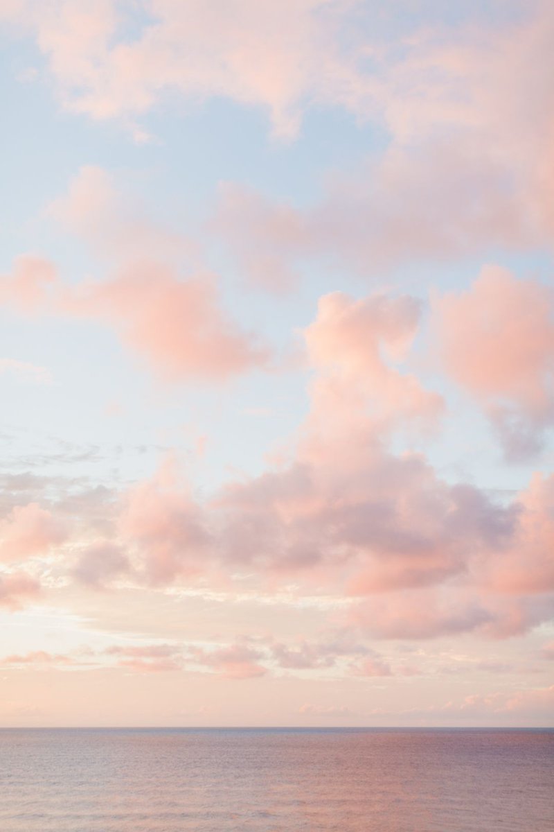 Nyle_Exton's tweet image. とても感動の 🦗