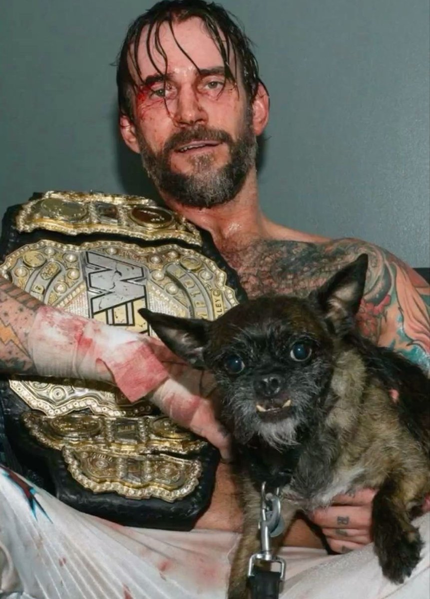 Desc is ₩ar (@desc_is_war) on Twitter photo 