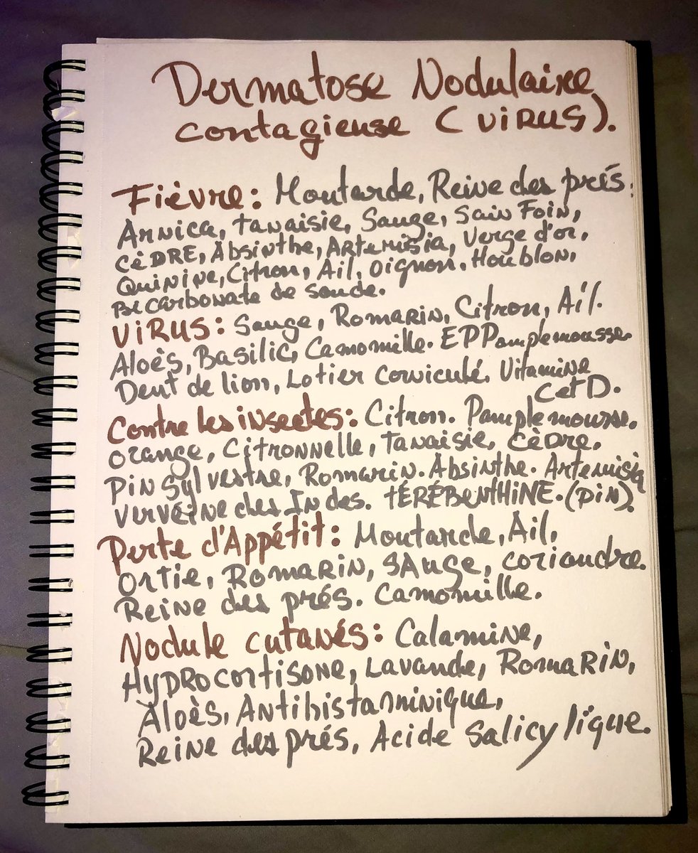 pres_reine's tweet image. Il y a des remèdes. Dermatose