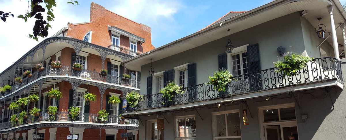 GabyLynch9's tweet image. There might be a few more of these today 😆 #AlphabetChallenge #WeekWForWindows NOLA, USA.