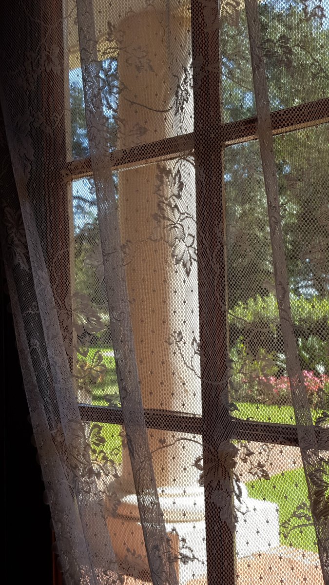 GabyLynch9's tweet image. There might be a few more of these today 😆 #AlphabetChallenge #WeekWForWindows NOLA, USA.