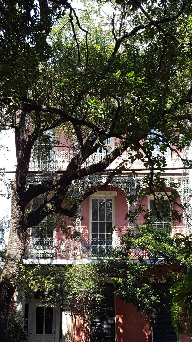 GabyLynch9's tweet image. There might be a few more of these today 😆 #AlphabetChallenge #WeekWForWindows NOLA, USA.