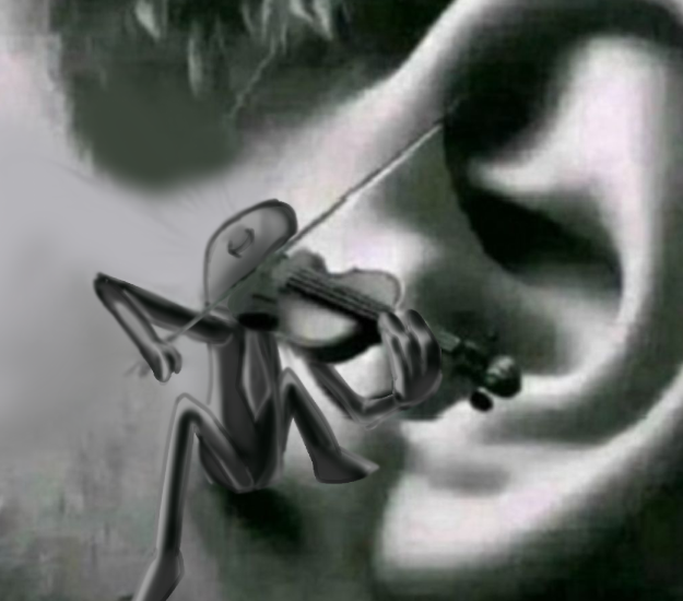 느억맘소스 tweet media