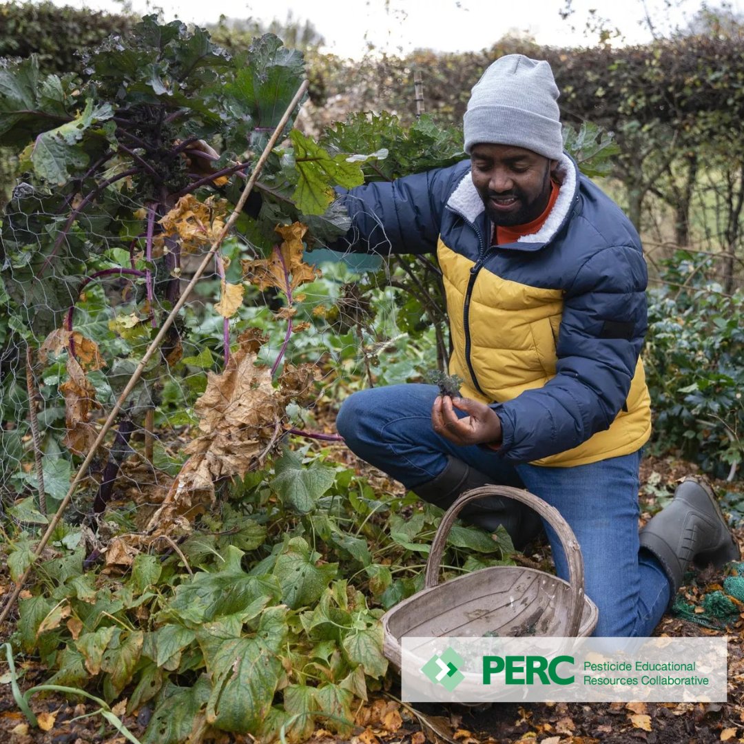 PERC Pesticide Educational Resources Collaborative tweet media