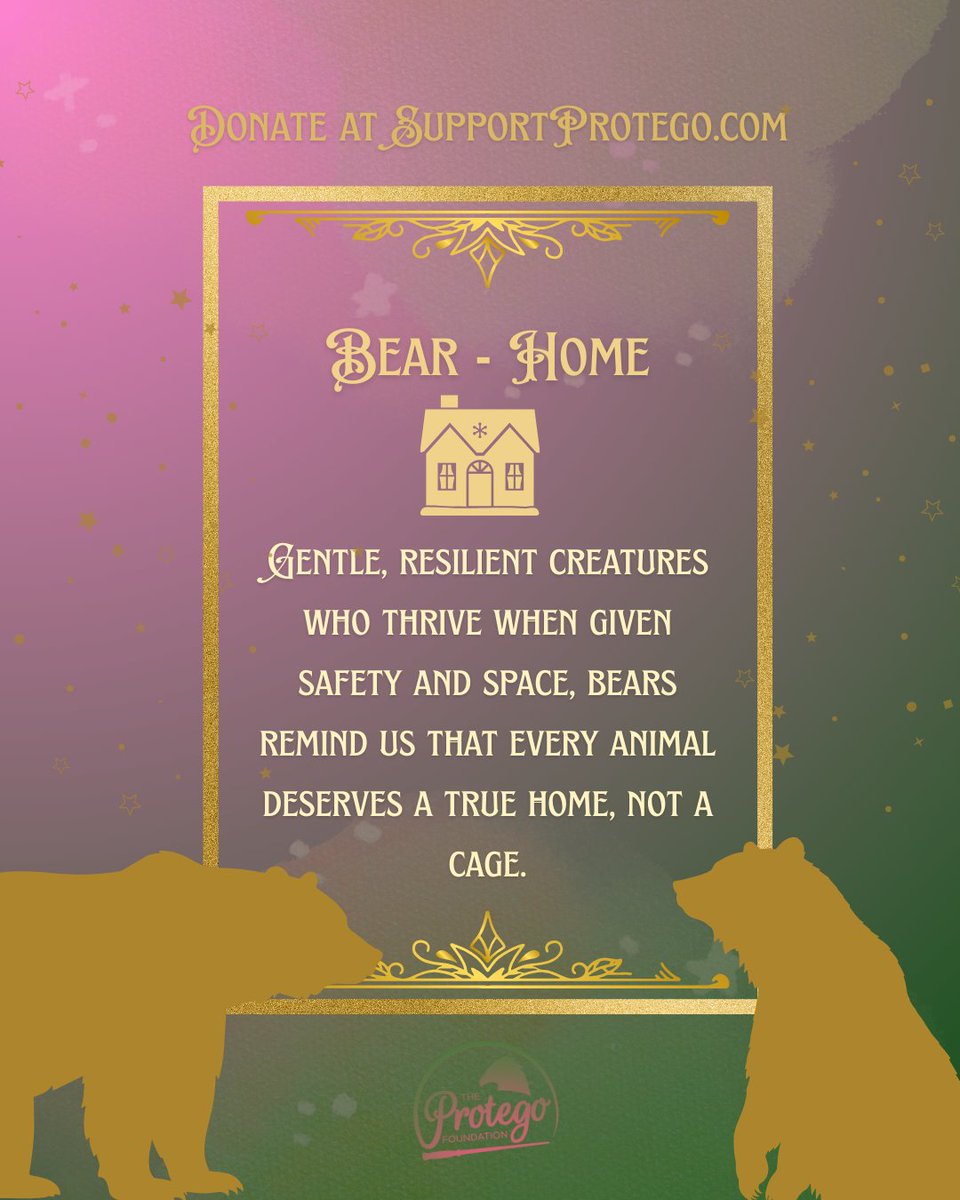 🦁🐒 Choose our mascot! 🐐🐻

This Giving Tuesday, your donation can make a real difference for animals when you use it to cast your vote in our campaign mascot challenge.

Head to SupportProtego.com to donate.

✨ Help us defy captivity together! ✨
#GivingTuesday2025