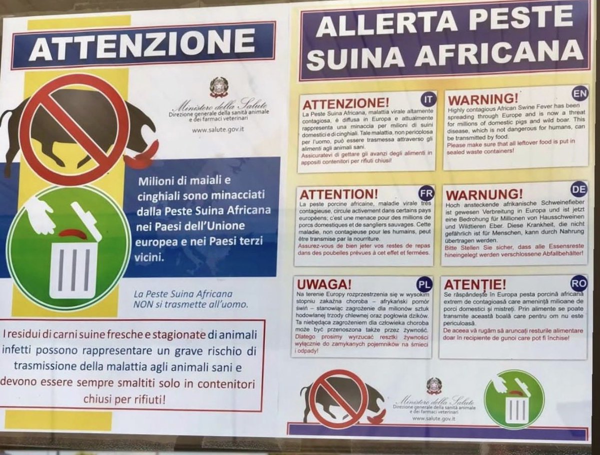 polldelcel's tweet image. Ara a correr tots!!! Algo així no ho havia pensat ningú?