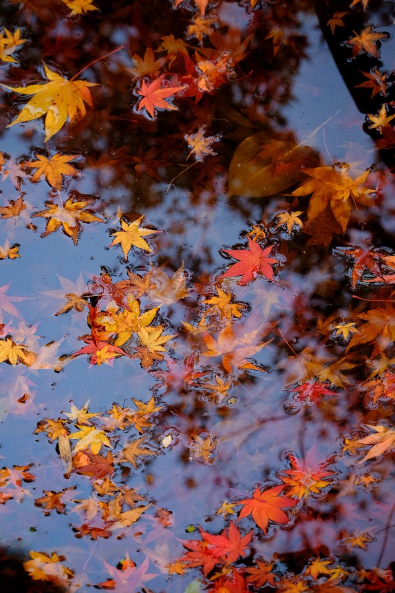 tm99fish's tweet image. 仕事し内閣→仕事師内閣