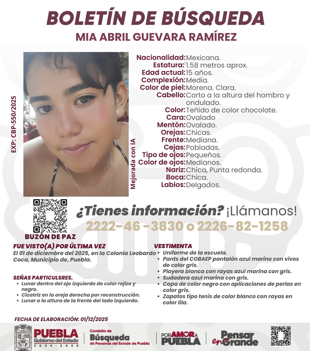 PoderNoticiaPue's tweet image. Se solicita la colaboración de la ciudadanía para localizar a Mia Abril Guevara Ramírez, quien fue vista por última vez en el municipio de Puebla, Puebla. 🆘

Cualquier información puede ser reportada al teléfono 2226821258.

#PoderNoticiaPue #DondeTuVozSeEscucha