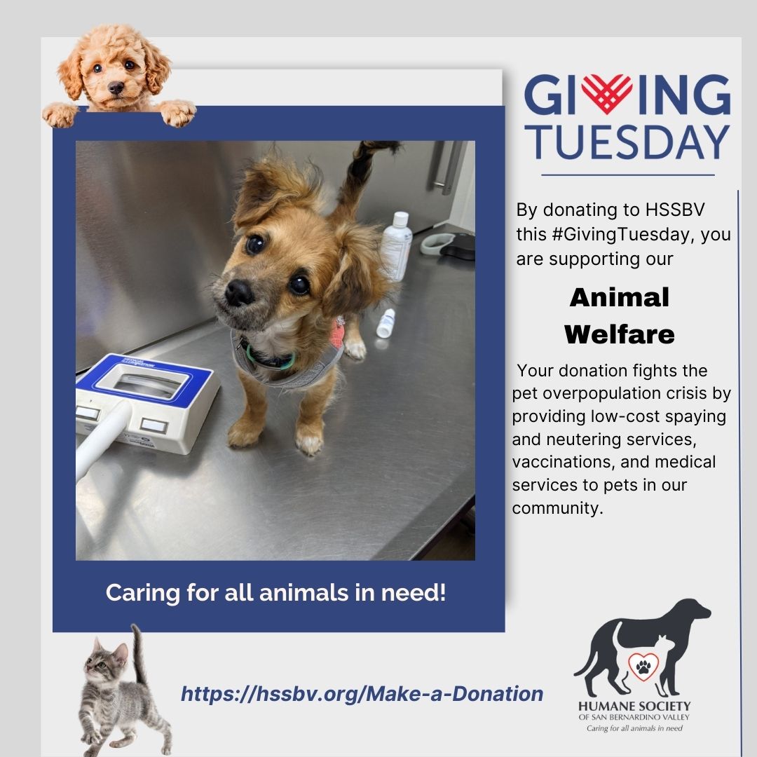 Humane Society SBV tweet media