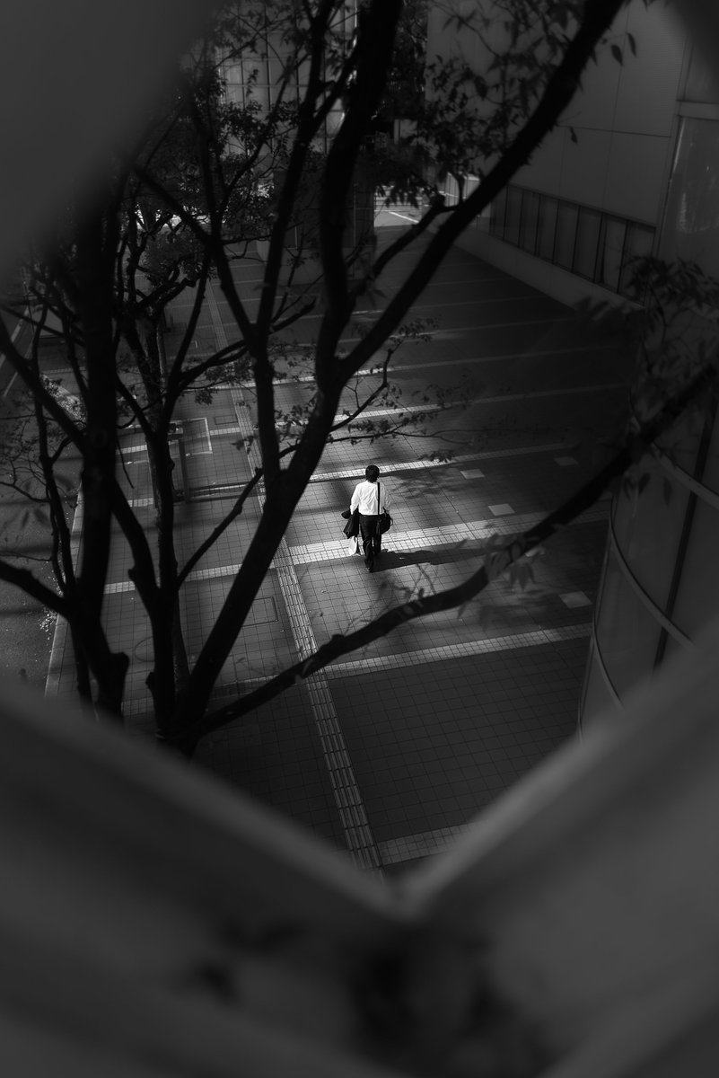 往

復

こういうのストリート写真撮る人好き説