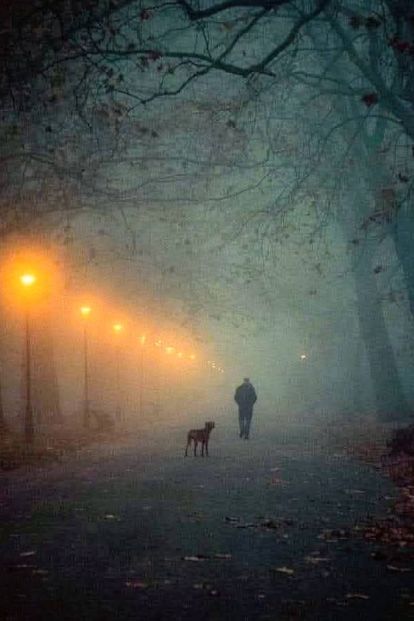 “But now and then comes an hour when the silence is all but absolute, and listening to it one slips out of time.”
― Nan Shepherd, The Living Mountain