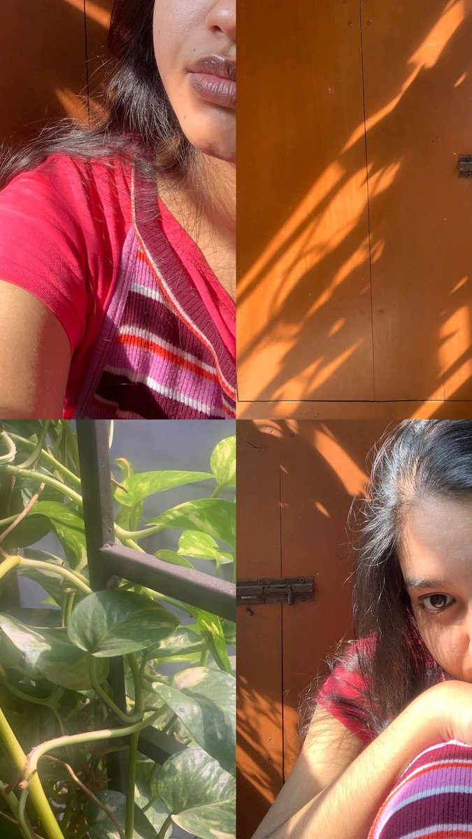 OhToBeAMuse's tweet image. Soaking in the golden hue 
🌼🫶🌼